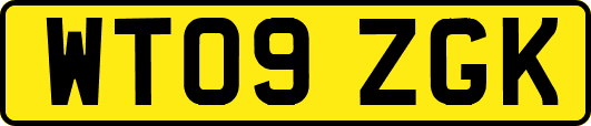 WT09ZGK
