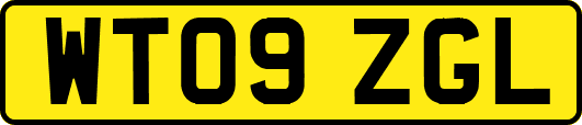 WT09ZGL