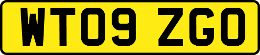WT09ZGO