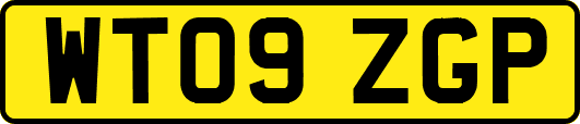 WT09ZGP