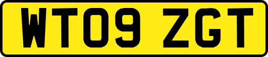 WT09ZGT