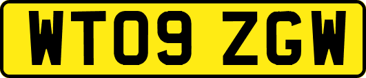 WT09ZGW
