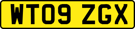 WT09ZGX