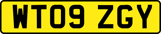 WT09ZGY