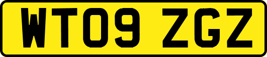 WT09ZGZ
