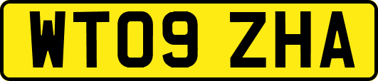 WT09ZHA