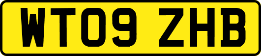 WT09ZHB