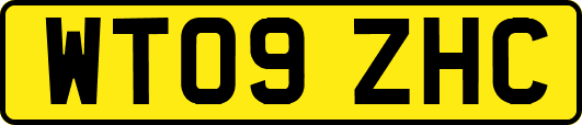 WT09ZHC