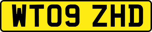 WT09ZHD
