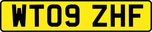WT09ZHF