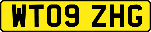 WT09ZHG