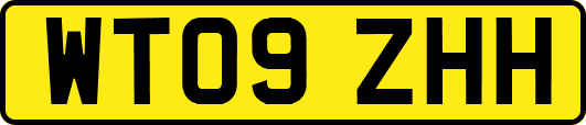 WT09ZHH