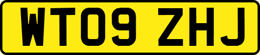 WT09ZHJ