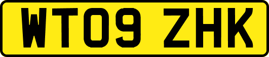 WT09ZHK