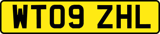 WT09ZHL