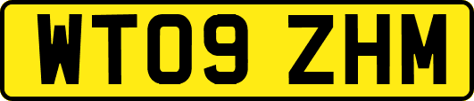 WT09ZHM