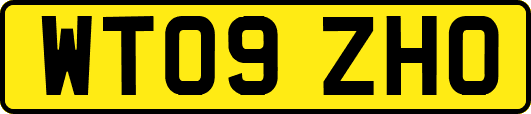WT09ZHO