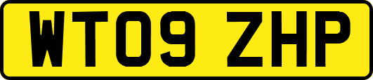 WT09ZHP