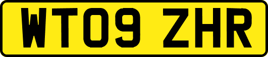 WT09ZHR