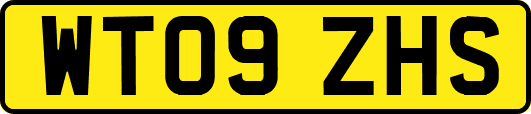 WT09ZHS