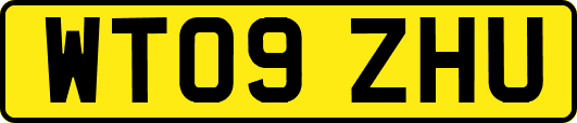 WT09ZHU