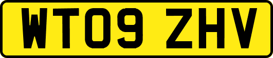 WT09ZHV
