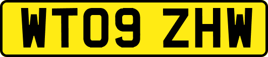 WT09ZHW