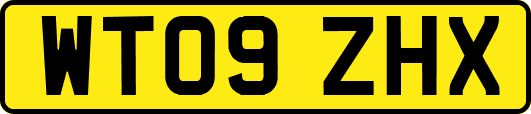 WT09ZHX