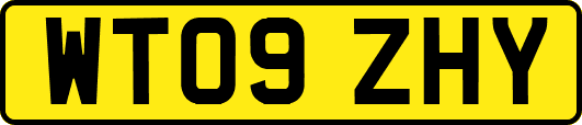 WT09ZHY