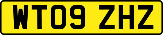 WT09ZHZ