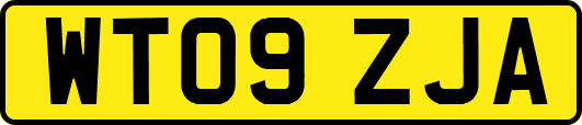 WT09ZJA