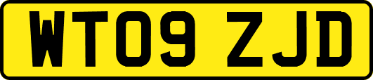 WT09ZJD