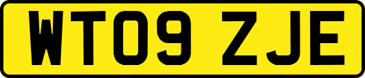 WT09ZJE