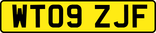 WT09ZJF