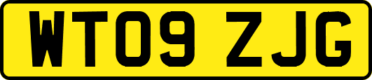 WT09ZJG
