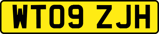 WT09ZJH