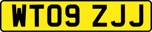 WT09ZJJ