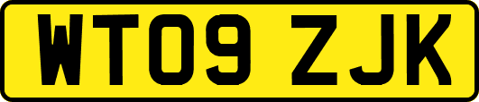 WT09ZJK
