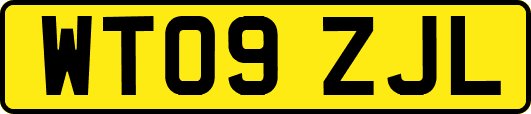 WT09ZJL