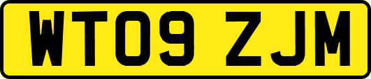 WT09ZJM