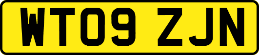 WT09ZJN