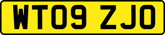 WT09ZJO
