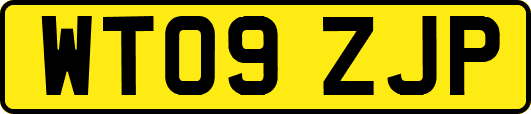 WT09ZJP