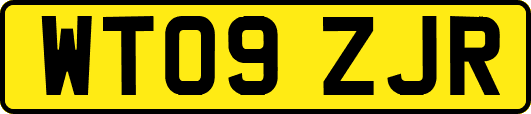 WT09ZJR