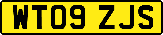 WT09ZJS