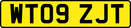 WT09ZJT