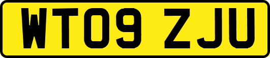 WT09ZJU