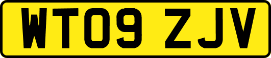 WT09ZJV