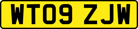 WT09ZJW