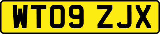 WT09ZJX